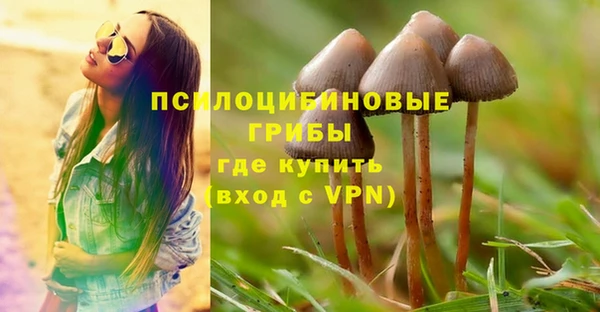 ALPHA-PVP Арсеньев