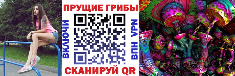 Галлюциногенные грибы Psilocybe  Фролово 